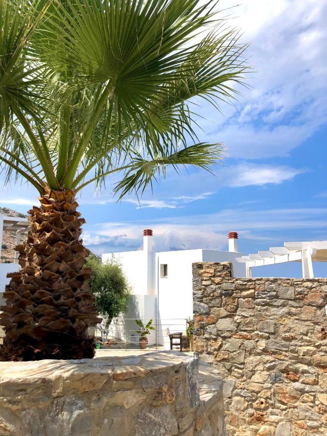 Mourtzanakis Residence - Traditional Eco Hotel In Akhládha エクステリア 写真