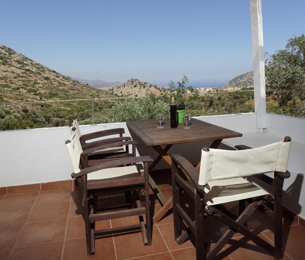 Mourtzanakis Residence - Traditional Eco Hotel In Akhládha エクステリア 写真
