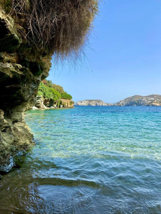 Mourtzanakis Residence - Traditional Eco Hotel In Akhládha エクステリア 写真