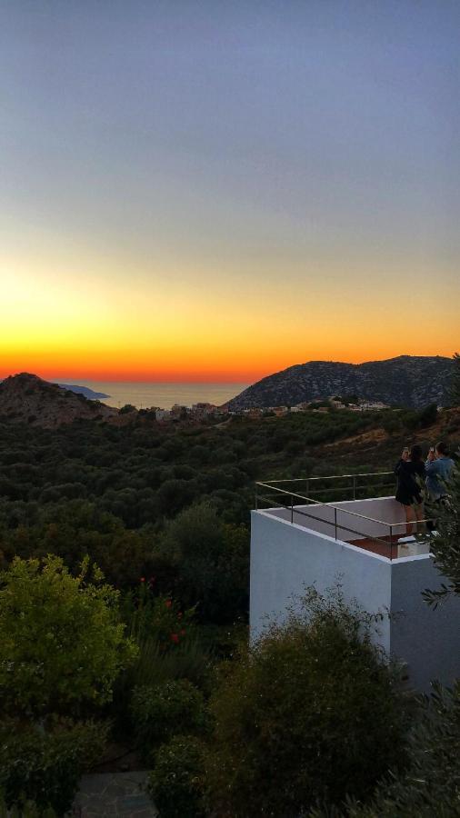Mourtzanakis Residence - Traditional Eco Hotel In Akhládha エクステリア 写真
