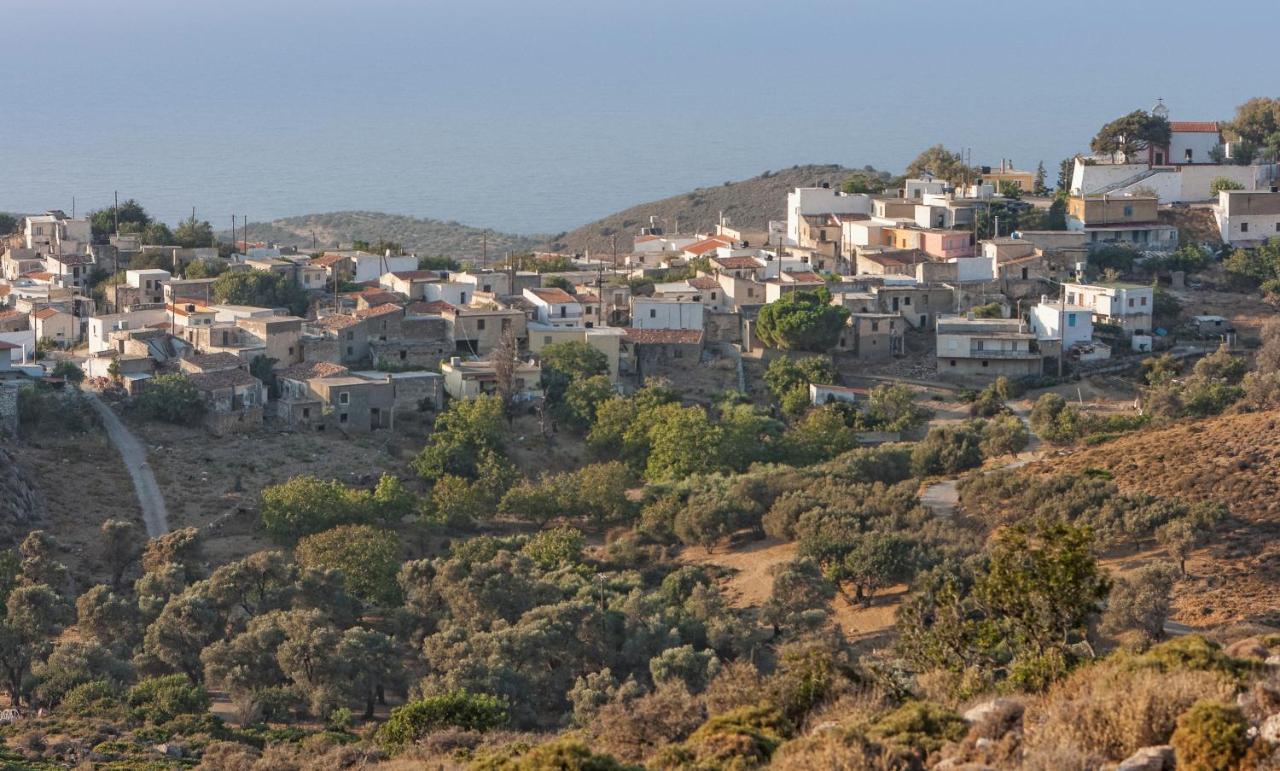 Mourtzanakis Residence - Traditional Eco Hotel In Akhládha エクステリア 写真