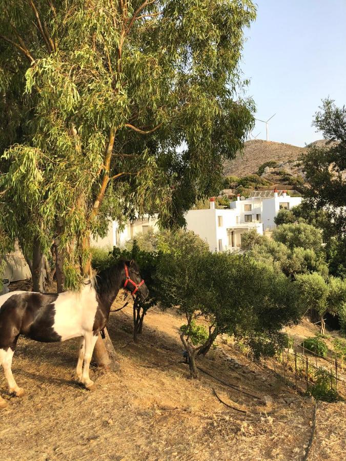 Mourtzanakis Residence - Traditional Eco Hotel In Akhládha エクステリア 写真